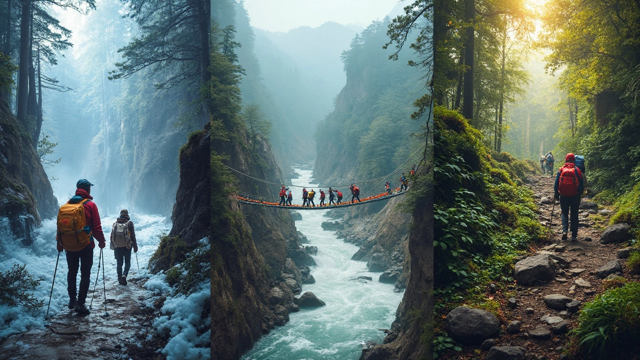 Best Treks for Beginners and Families