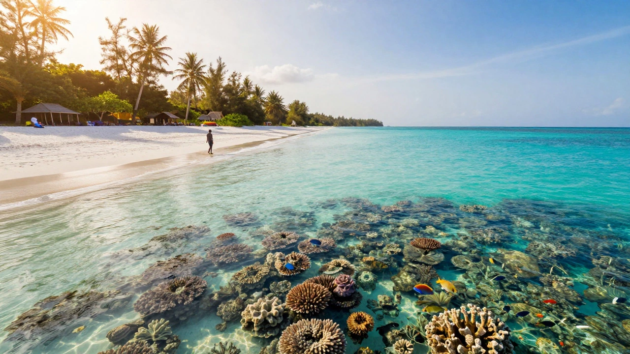 Better Than Maldives? Top Indian Island Alternatives for Beach Lovers in 2026